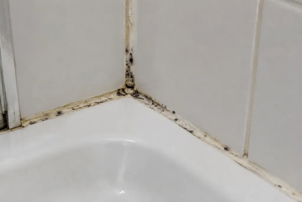 Kitbedrijf Heesch – beschimmelde kitranden
